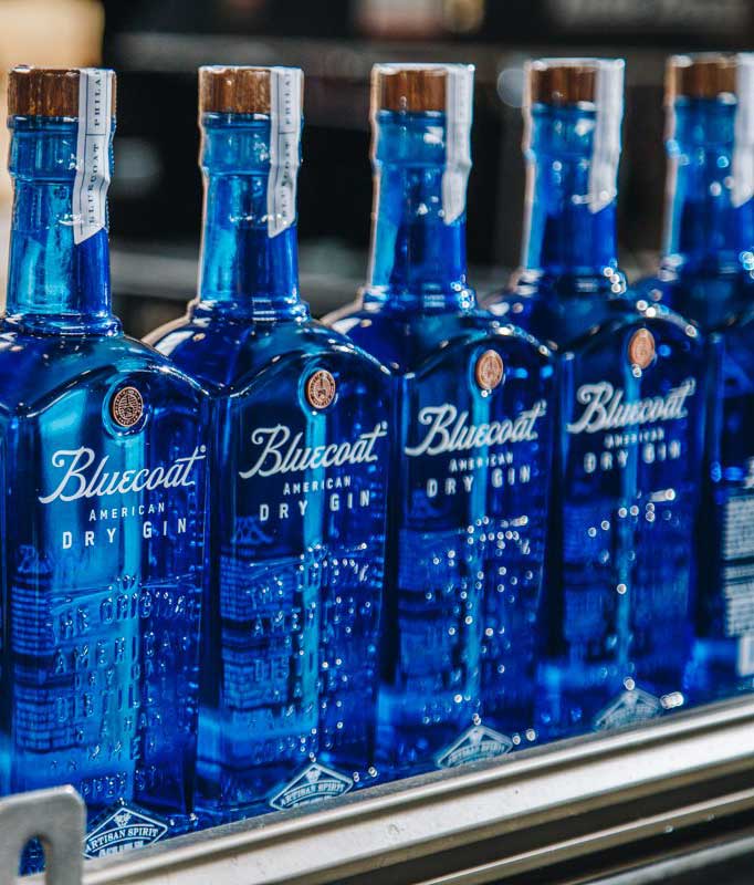Bluecoat Gin